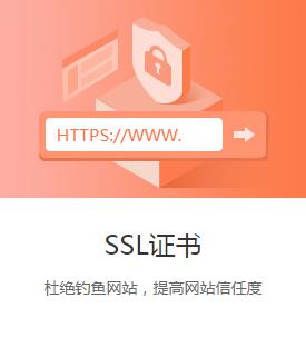 Portfolio-title